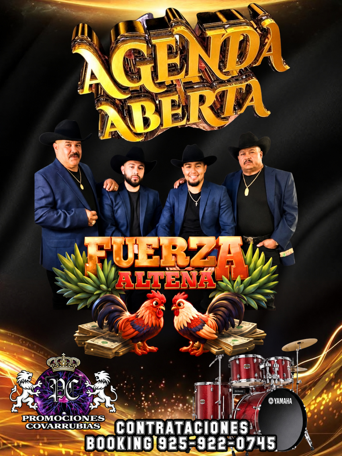 Flyer de Fuerza Alteña